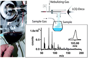 Graphical abstract: In situ detection of γ-hydroxybutyrate and γ-butyrolactone in drinks by secondary electrospray ionization