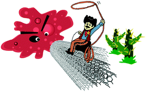 Graphical abstract: Targeting carbon nanotubes against cancer