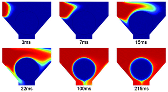 Graphical abstract: Effects of sample delivery on analyte capture in porous bead sensors