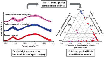 Graphical abstract: Non-invasive analysis of hormonal variations and effect of postmenopausal Vagifem treatment on women using in vivo high wavenumber confocal Raman spectroscopy