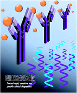 Graphical abstract: Novel biosensing methodologies for ultrasensitive detection of viruses