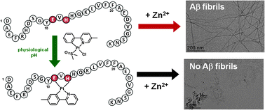 Graphical abstract: Pt(ii) compounds interplay with Cu(ii) and Zn(ii) coordination to the amyloid-β peptide has metal specific consequences on deleterious processes associated to Alzheimer's disease