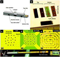 Graphical abstract: Localised corrosion in aluminium alloy 2024-T3 using in situ TEM