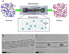 Graphical abstract: Catalytic nanoreactors in continuous flow: hydrogenation inside single-walled carbon nanotubes using supercritical CO2