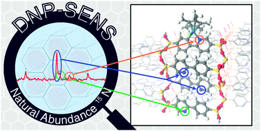 Graphical abstract: Molecular-level characterization of the structure and the surface chemistry of periodic mesoporous organosilicates using DNP-surface enhanced NMR spectroscopy