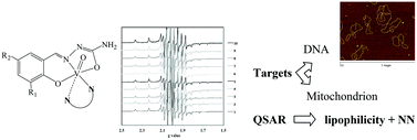 Graphical abstract: A new series of heteroleptic oxidovanadium(iv) compounds with phenanthroline-derived co-ligands: selective Trypanosoma cruzi growth inhibitors