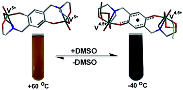 Graphical abstract: Vanadium(iv/v)–p-dioxolene temperature induced electron transfer associated with ligation/deligation of solvent molecules