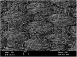 Graphical abstract: Preconcentration of lead from aqueous solution with activated carbon cloth prior to analysis by flame atomic absorption spectrometry: a multivariate study