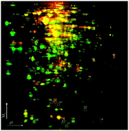 Graphical abstract: Regulation of iron transport related genes by boron in the marine bacterium Marinobacter algicola DG893