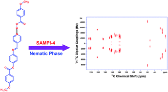 Graphical abstract: 13C–1H dipolar couplings for probing rod-like hydrogen bonded mesogens