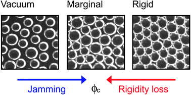 Graphical abstract: The jamming perspective on wet foams