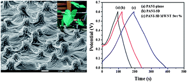 Graphical abstract: Polyaniline/carbon nanotube nanocomposite electrodes with biomimetic hierarchical structure for supercapacitors