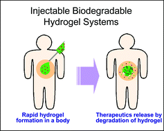 Graphical abstract: Injectable biodegradable hydrogels: progress and challenges