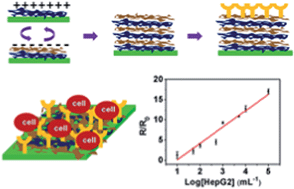 Graphical abstract: Construction of carbon nanotube based nanoarchitectures for selective impedimetric detection of cancer cells in whole blood