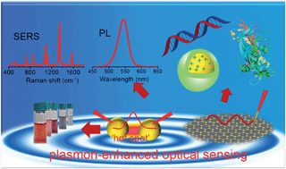Graphical abstract: Plasmon-enhanced optical sensors: a review
