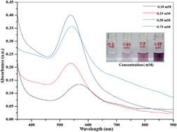 Graphical abstract: One-pot synthesis of gold nanoparticles by using 4-aminoantipyrine as a novel reducing and capping agent for simultaneous colorimetric sensing of four triptan-family drugs