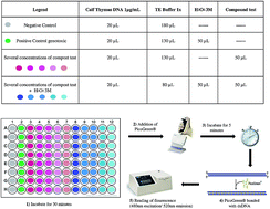 Graphical abstract: Genomodifier capacity assay: a non-cell test using dsDNA molecules to evaluate the genotoxic/genoprotective properties of chemical compounds