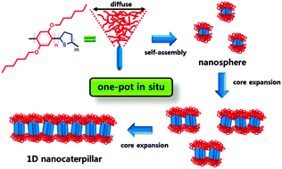Graphical abstract: One-pot synthesis of nanocaterpillar structures via in situ nanoparticlization of fully conjugated poly(p-phenylene)-block-polythiophene