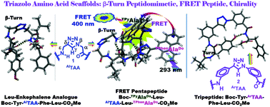 Graphical abstract: Triazolo-β-aza-ε-amino acid and its aromatic analogue as novel scaffolds for β-turn peptidomimetics