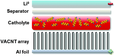 Graphical abstract: Vertically-aligned carbon nanotubes on aluminum as a light-weight positive electrode for lithium-polysulfide batteries