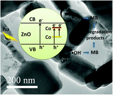 Graphical abstract: Enhanced photocatalytic activity of Co doped ZnO nanodisks and nanorods prepared by a facile wet chemical method