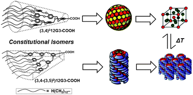 Graphical abstract: From structure to function via complex supramolecular dendrimer systems