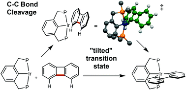 Graphical abstract: Addition of C–C and C–H bonds by pincer-iridium complexes: a combined experimental and computational study