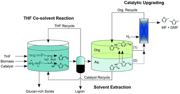 Graphical abstract: Coupling metal halides with a co-solvent to produce furfural and 5-HMF at high yields directly from lignocellulosic biomass as an integrated biofuels strategy