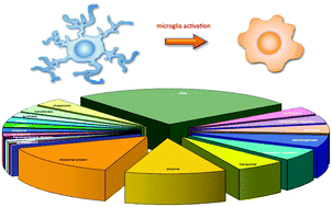 Graphical abstract: Reversible redox modifications in the microglial proteome challenged by beta amyloid