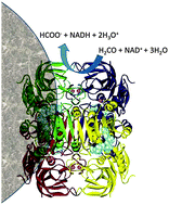 Graphical abstract: Association of Pseudomonas putida formaldehyde dehydrogenase with superparamagnetic nanoparticles: an effective way of improving the enzyme stability, performance and recycling