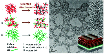 Graphical abstract: Facile synthesis of ultra-small PbSe nanorods for photovoltaic application