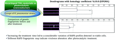Graphical abstract: Study of the generated genetic polymorphisms during the photocatalytic elimination of Klebsiella pneumoniae in water