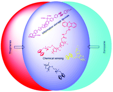 Graphical abstract: Synthesis of ferrocene-based polythiophenes and their applications