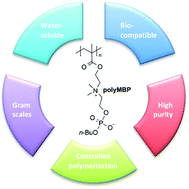 Graphical abstract: A facile approach to hydrophilic, reverse zwitterionic, choline phosphate polymers