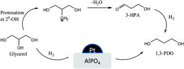 Graphical abstract: Catalytic performance of Pt/AlPO4 catalysts for selective hydrogenolysis of glycerol to 1,3-propanediol in the vapour phase