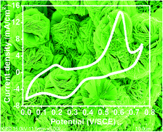 Graphical abstract: Hierarchical 3D-flower-like CuO nanostructure on copper foil for supercapacitors