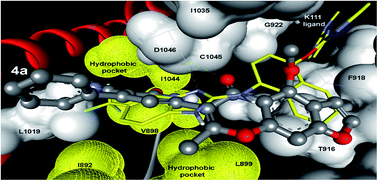 Graphical abstract: Design, synthesis and anticancer activity of furochromone and benzofuran derivatives targeting VEGFR-2 tyrosine kinase