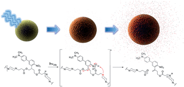 Graphical abstract: In vivo visible light-triggered drug release from an implanted depot