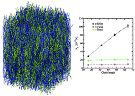 Graphical abstract: Fluctuation spectra in polymer nematics and Frank elastic constants: a coarse-grained modelling study