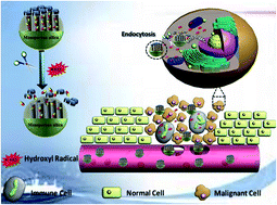 Graphical abstract: Using oxidant susceptibility of thiol stabilized nanoparticles to develop an inflammation triggered drug release system