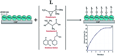 Graphical abstract: Cellulose nanofiber–titania nanocomposites as potential drug delivery systems for dermal applications