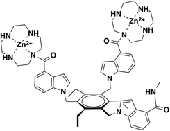 Graphical abstract: A tool for the selective sequestration of ATP and PPi to aid in-solution phosphopeptide detection assays