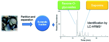 Graphical abstract: A strategy for rapid structural characterization of saponins and flavonoids from the testa of Camellia oleifera Abel seeds by ultra-high-pressure liquid chromatography combined with electrospray ionization linear ion trap-orbitrap mass spectrometry