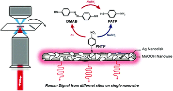 Graphical abstract: In situ monitoring of catalytic process variations in a single nanowire by dark-field-assisted surface-enhanced Raman spectroscopy