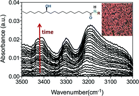 Graphical abstract: Dissecting kinetic pathways to formation of the fibrillar objects in molecular gels using synchrotron FT-IR
