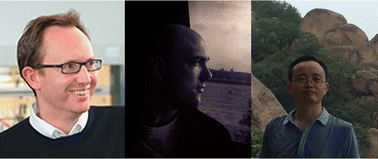 Graphical abstract: Supramolecular gels in crystal engineering