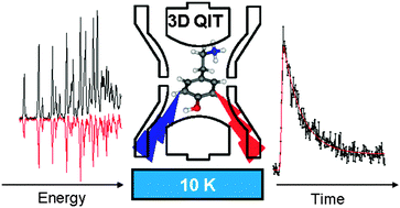 Graphical abstract: A comprehensive study of cold protonated tyramine: UV photodissociation experiments and ab initio calculations