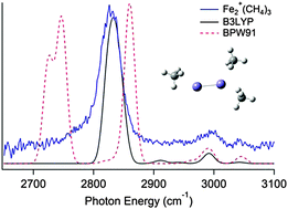 Graphical abstract: Vibrational spectroscopy and theory of Fe2+(CH4)n (n = 1–3)