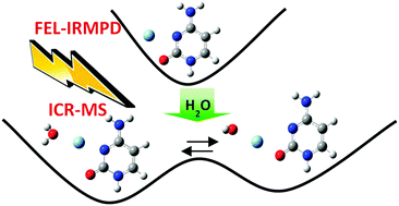 Graphical abstract: On the Ag+–cytosine interaction: the effect of microhydration probed by IR optical spectroscopy and density functional theory