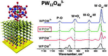 Graphical abstract: Charge retention of soft-landed phosphotungstate Keggin anions on self-assembled monolayers